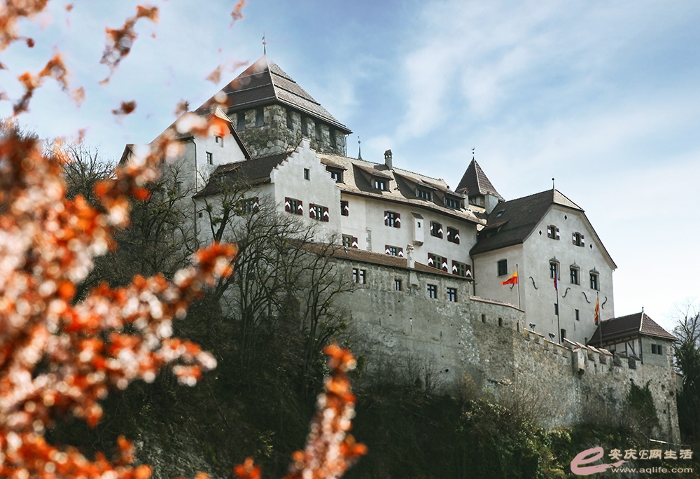 IMG_4682 ����.jpg