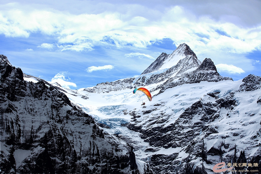 IMG_4765 ���� ɡ.jpg