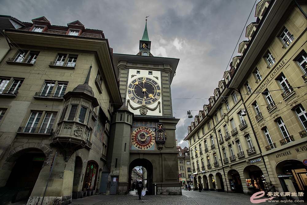 ZLGL6140 ����.jpg