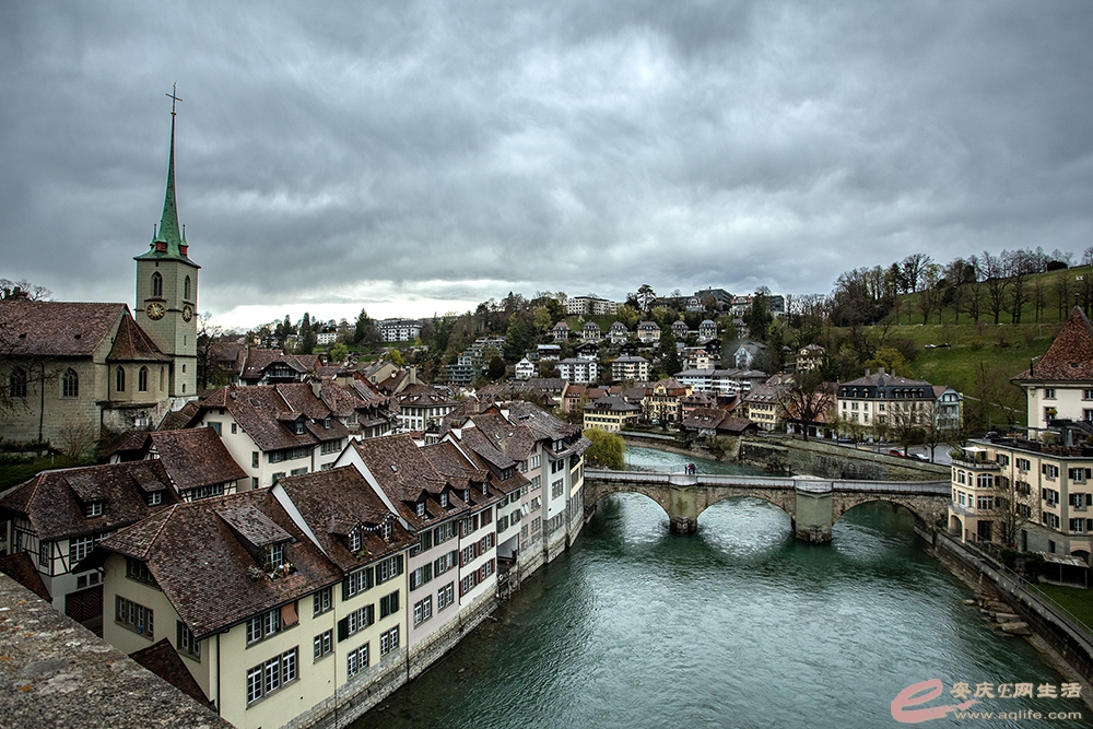 ZLGL6170 ����.jpg