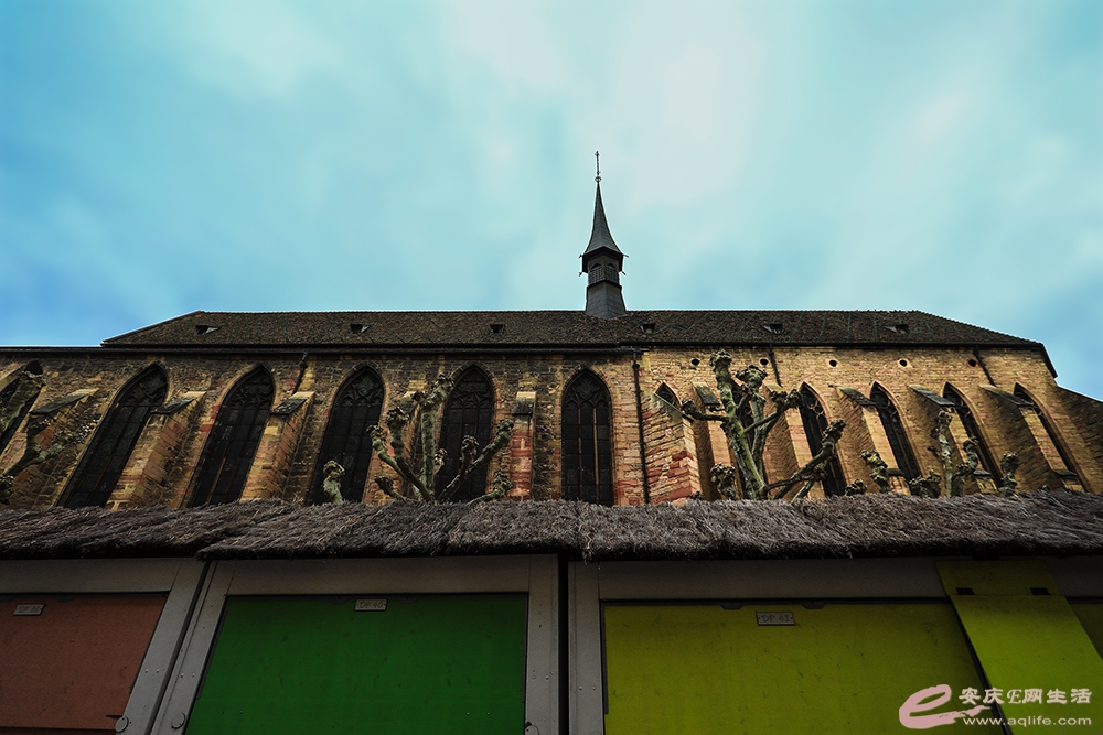 ZLGL6185 ����.jpg