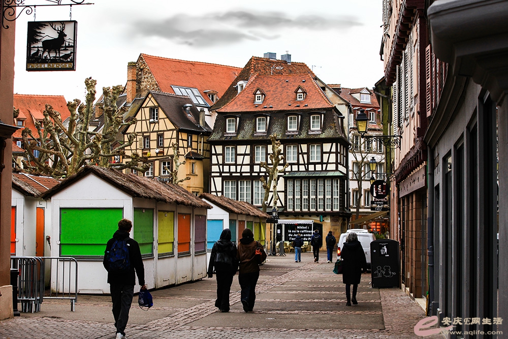 IMG_4825 ����.jpg