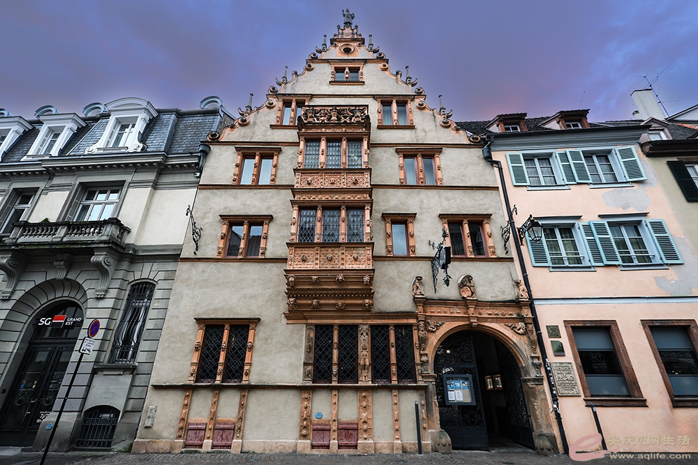 ZLGL6192 ����.jpg