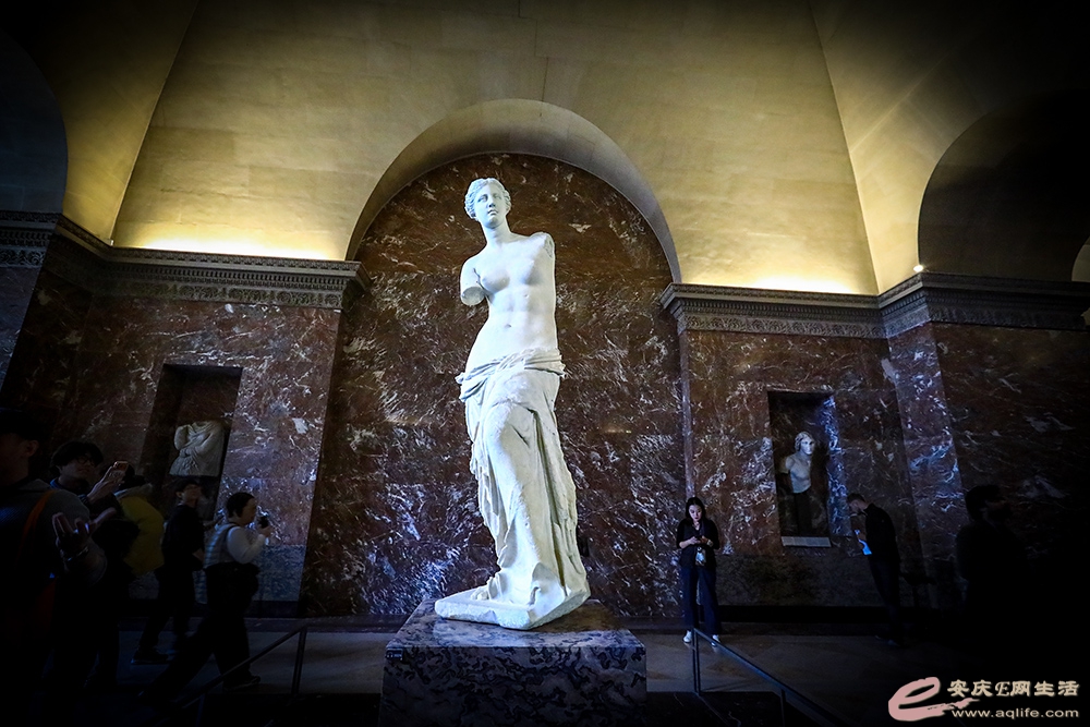 ZLGL6521 ����.jpg