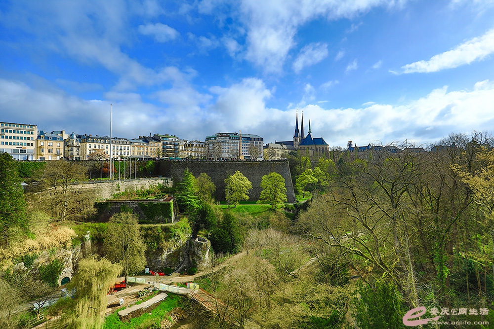 ZLGL6919 ����.jpg