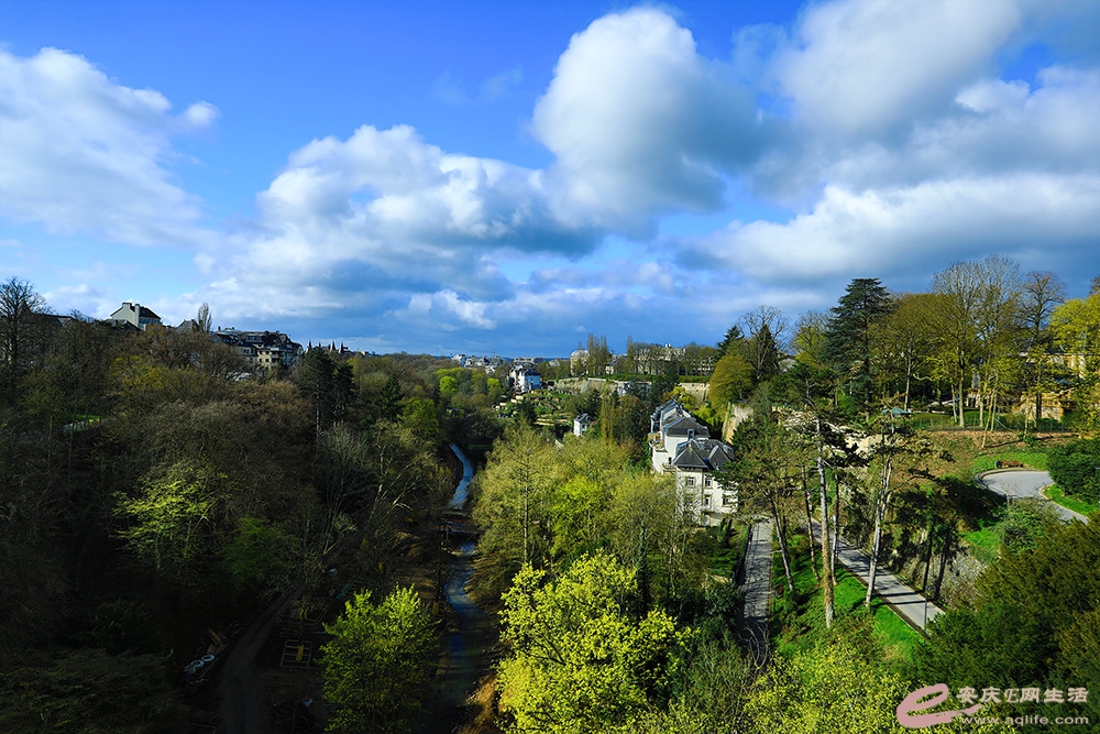 ZLGL6950 ����.jpg