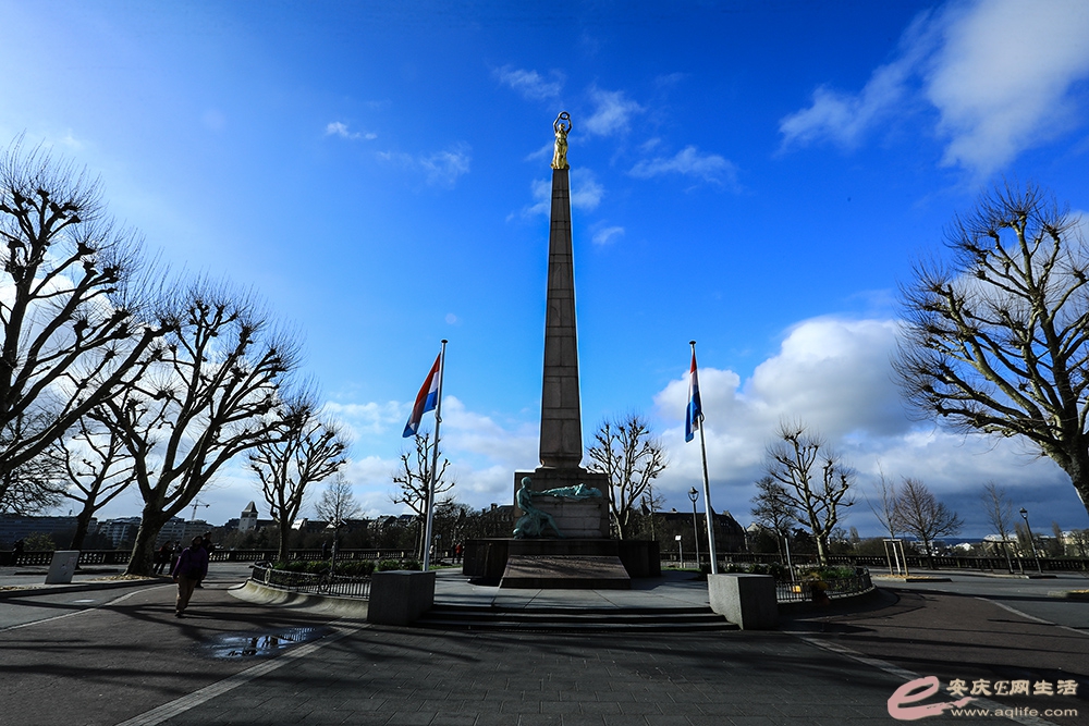 ZLGL6945 ����.jpg