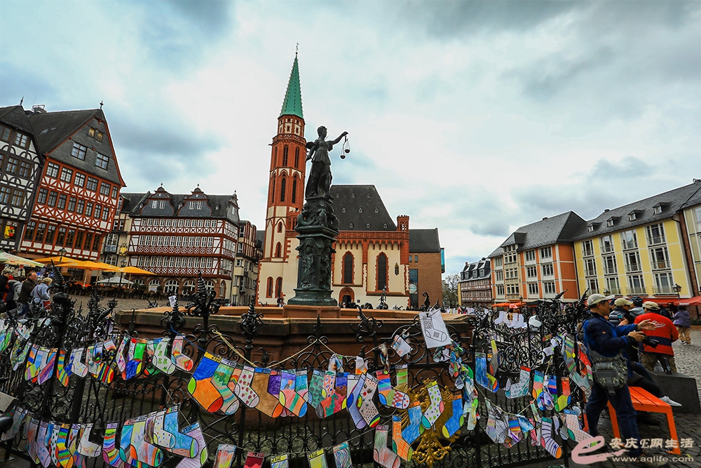 ZLGL6986 ����.jpg