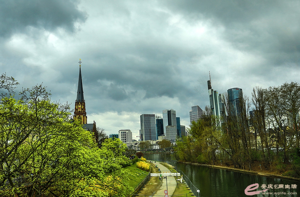 ZLGL7036 ����.jpg